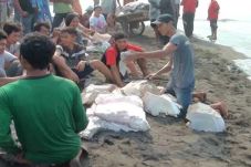 Paus Sepanjang 22 Meter...