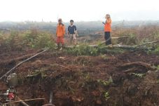 Indonesia Journalist...