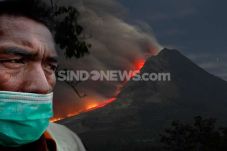 Kebakaran Area Gunung...