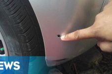 Diduga Ditembak, Mobil...