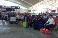 Bandara Ngurah Rai Batalkan...