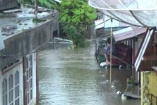 Diguyur Hujan, Ratusan...