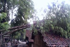 Angin Ribut Porak Porandakan...