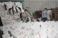Harga Beras Bisa Naik...