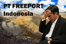 Kadin: Pencatutan Jokowi...