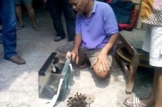 Sudah Disemprot, Ulat...