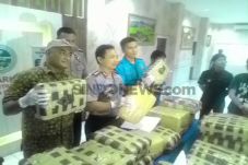 Gerebek Kompleks Cendana,...