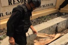 Polres Nganjuk Diteror...