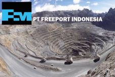 Pengamat: Kisruh Freeport...