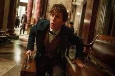 Fantastic Beasts Rilis...