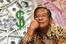 Darmin Ungkap Penyebab...