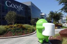 Google Akan Polling...