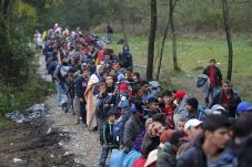 IOM: Hampir 1 Juta Imigran...