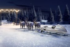 Rayakan Natal, Mercedes...