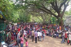 Ragunan Dipadati Ribuan...