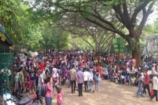 Jumlah Pengunjung Ragunan...