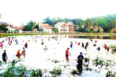 Cari Ikan, Ribuan Warga...