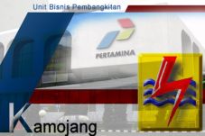 PLN: Pertamina Tawarkan...