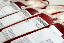 FDA Cabut Larangan Donor...