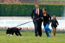 Anjing Kesayangan Obama...