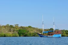 Indahnya Bawah Laut...