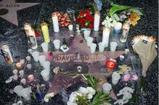 Bowie Dead, Japanese...