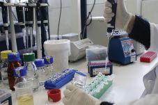 Uji Obat Ganja di Prancis,...