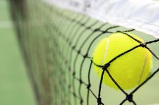 Included Wimbeldon,...