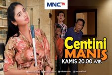 Centini Manis Siap Goda...