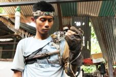 Thus Robot Hand Indonesian...