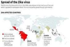 Virus Zika Menyebar...