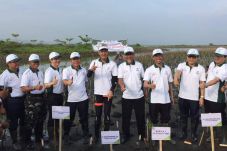 Toyota Hijaukan Pantai...