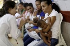 Virus Zika Sudah Masuk...