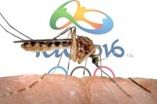 Virus Zika Ancam Olimpiade...