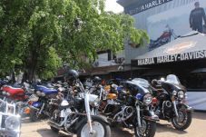 Harley Davidson Cari...