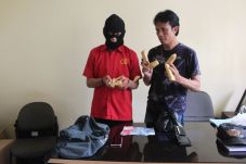 Miliki Ganja, Mahasiswa...