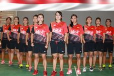 Pebulu Tangkis Indonesia...