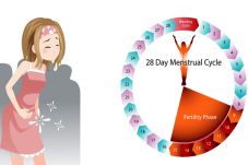5 Siklus Menstruasi...