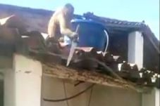 Mabuk, Monyet di Brasil...