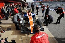 Bersama Rio Haryanto,...