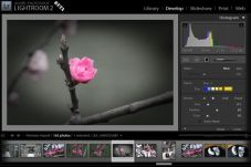 Adobe Lightroom 2.0...