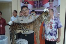 Polda Sumsel Tangkap...