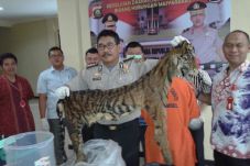 Polisi Kembangkan Kasus...