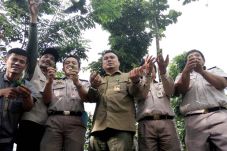 Ratusan Burung Sitaan...