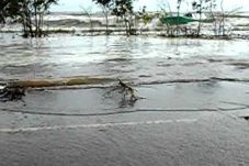 Ternyata Ada Tsunami...