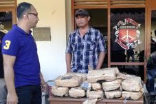 Ganja 30 Kilo Tanpa...
