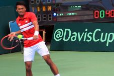 Tim Davis Indonesia...