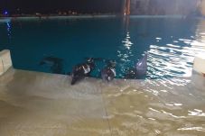 Gerhana Matahari, Ancol...