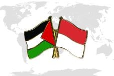 Maha Abu Shusheh, Konsul...