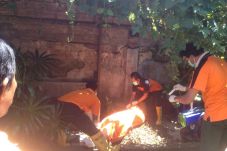 Karyawan Yayasan Bali...